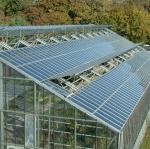 Commercial Greenhouse PE/Po Plastic Film Photovoltaic System for Sustainable