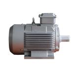 Biomass Pellet Machine Three Phase AC Electric Motor F Insulation Classtion