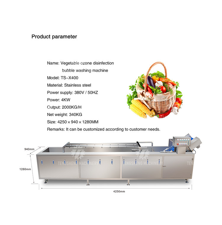 SS Fruit Bubble Washing Machine Commercial Vegetable Cleaning Equipment