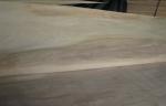 Natural Rotary Cut Birch cutting wood veneer A Grade For Furniture