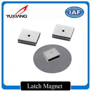 Quality High Corrosion Resistance Custom Made Magnets Latch Magnet For Speakers wholesale