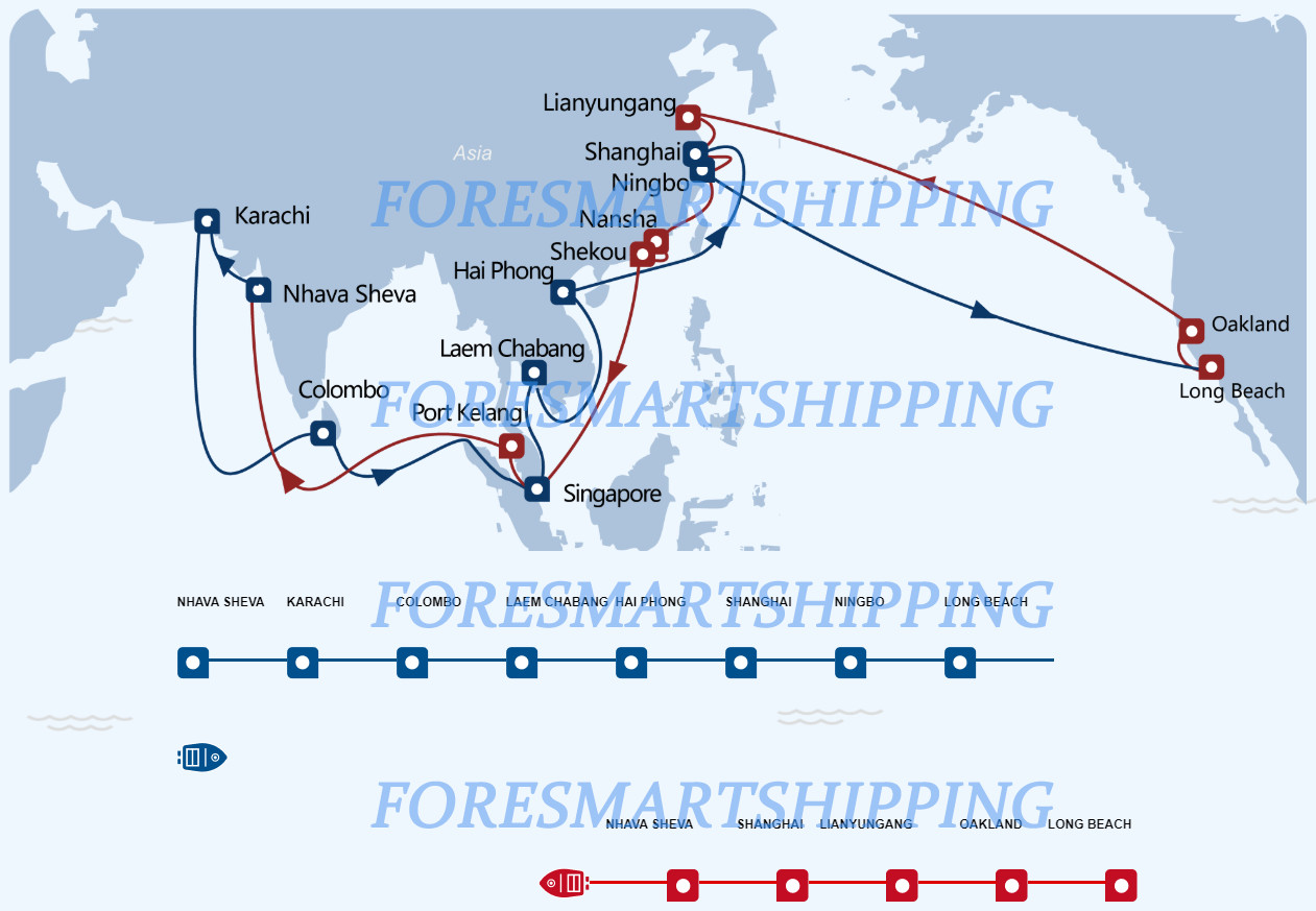 Amazon FBA North America Freight , International Sea Freight Forwarding