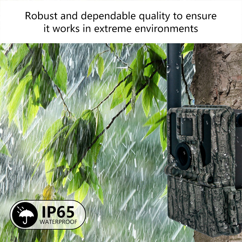 4G Trail Camera Photo Video 36MP Image Size 1-9 Capture Number 5s-60s Video Length