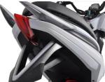 Citycoco Electric Scooter Motorcycle Adult Handicap 1500w