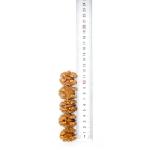 wholesale years Best Price Top Grade Dried Style Raw Walnut Kernels Amazon’s
