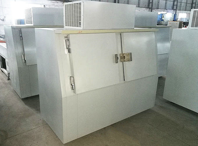 Slanted Double Doors Commercial Ice Freezer 60 Cu. Ft. 1830*890*1900mm 7