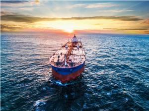 Quality FCL LCL Shipping Line Agency From China To America Canada wholesale