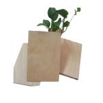 Full Hardwood Core MR 12mm Film Faced Birch Plywood