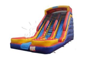 Quality Customized Size Inflatable Dry Slide , Double Lane Kids Blow Up Slide wholesale