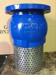 Quality ANSI foot valve flanged ends wholesale