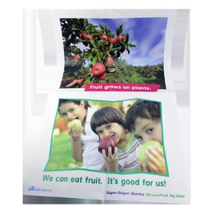 Quality Matte Varnishing C2S Paper Travel Advertisement Poster wholesale