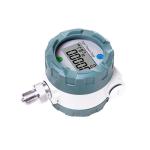 YW-100GB Explosion Proof Digital Pressure Gauge 80mm 100mm With Display