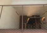 30cm*30cm Stainless Wire Mesh 316 Rope Net Fence For Staircase