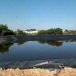 Eco-Friendly Geomembrane for Fish Pond 0.5mm Thickness from Length 50-200m /