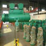 Customized Wire Rope Electric Crane Hoist 1000 Lb For Cantilever Crane