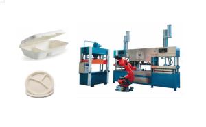 Quality Biodegradable Pulp Molded Coffee Cup Production Line wholesale