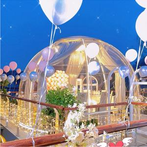 Quality ROSH Certificate Garden Bubble Tent Aluminium Frame Bubble Igloo Tent wholesale