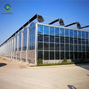 Quality Alloy Transparent 9.6m Commercial Glass Greenhouse wholesale