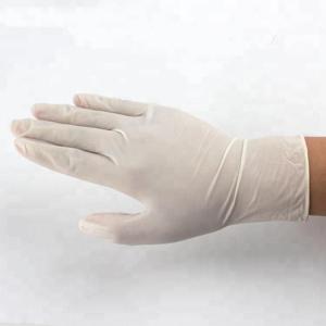 Quality White Powder Free XL Medical Exam Latex Gloves wholesale