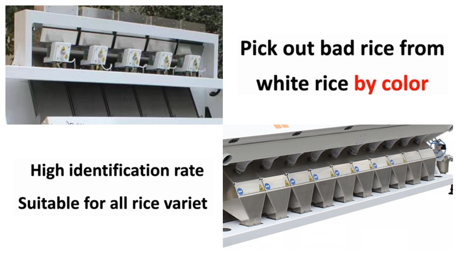 High STR CCD640 Guangdong Ejector Valves Coffee Bean Color Sorter for Long Service Life