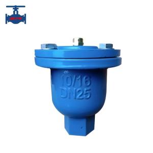 Quality NPT BSP Female Connection Automatic Micro Exhaust Valve 18 Months Warranty wholesale