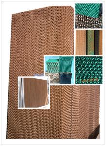 Quality 5090/6090/7090 farm/factory/greenhouse evaporative cooling pad with high efficiency wholesale