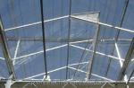 Maximize Harvest Super Strong Resistance Multi Span Agricultural Greenhouses