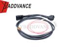 Factory Direct OEM ODM 6 Pin Male Female Pioneer Water Resistant Wire Harness
