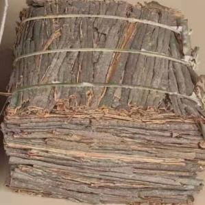 Quality Natural Cinnamon Stick Dried Spices And Herbs Dried Pressed Cassia wholesale