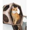 Buy cheap Hexagon Modern Pet Furniture Cat Wall Shelf 50lb Bearing Cat Cave Bed Cat from wholesalers
