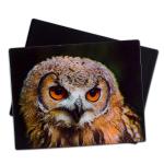 Wolf Owl Wild Animals 3D Magnets Lenticular 3D Refrigerator Magnet For Tourist