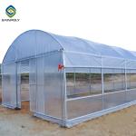 0.20mm Cucumber Plant Pe Film Single Span Greenhouse