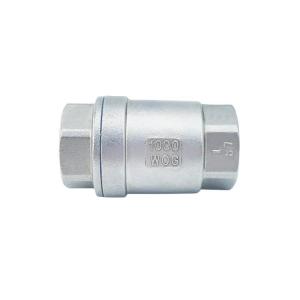 Quality Gland Packings Globe Valve for Manufactory Stainless Steel Spring Vertical Check Valve wholesale