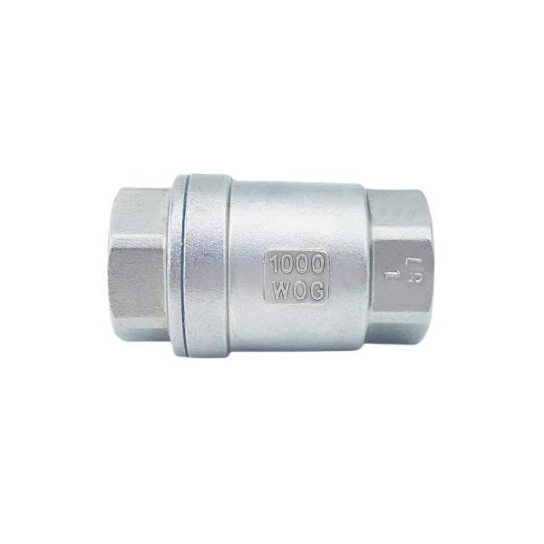 Gland Packings Globe Valve for Manufactory Stainless Steel Spring Vertical Check