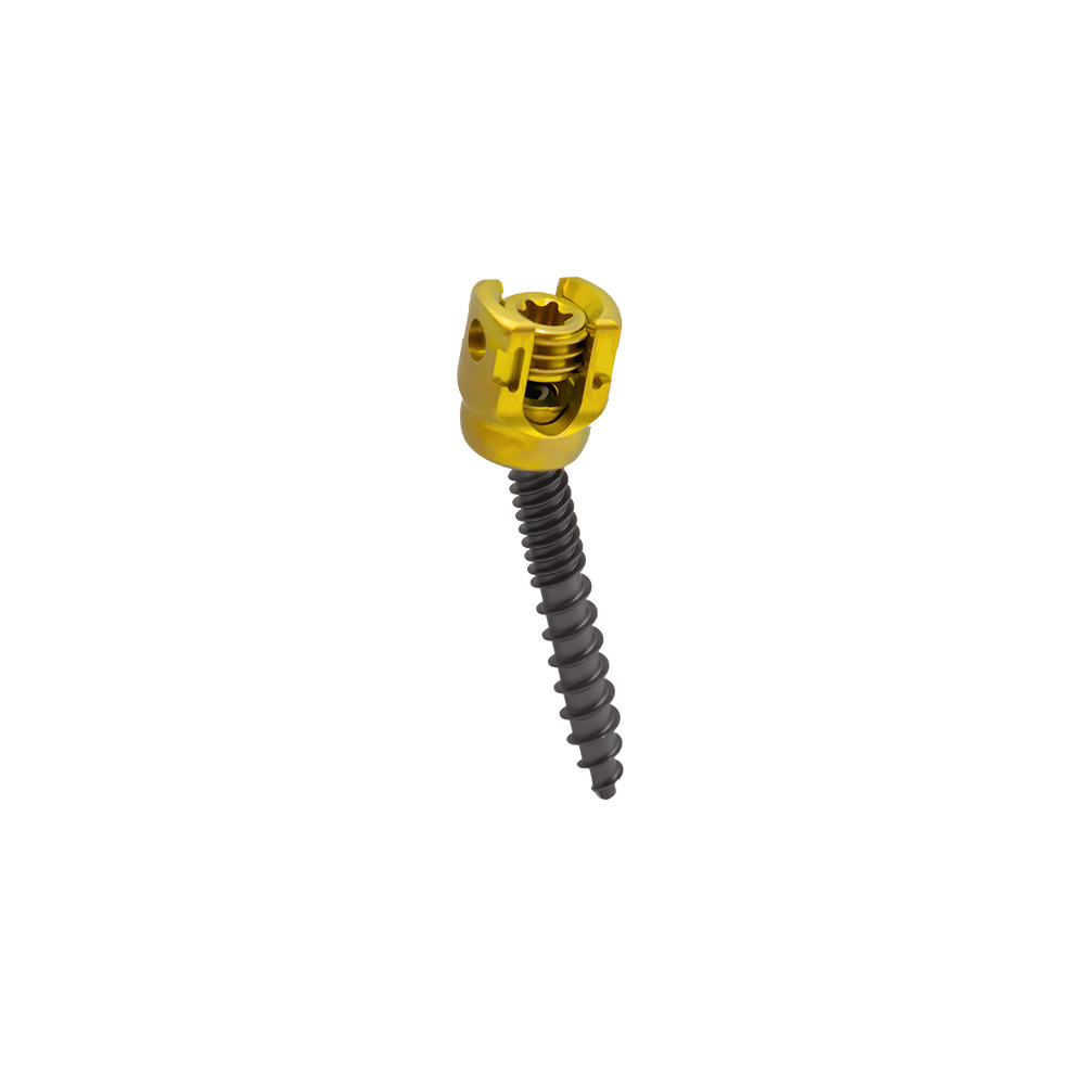 Spinal Rod System U Multi Axial Pedicle Screw Break Off