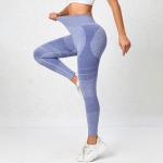 Women's summer thin style tight high-waisted buttocks yoga pants