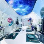 Eggshell house Smart Dome Star River View Egg House Hotel