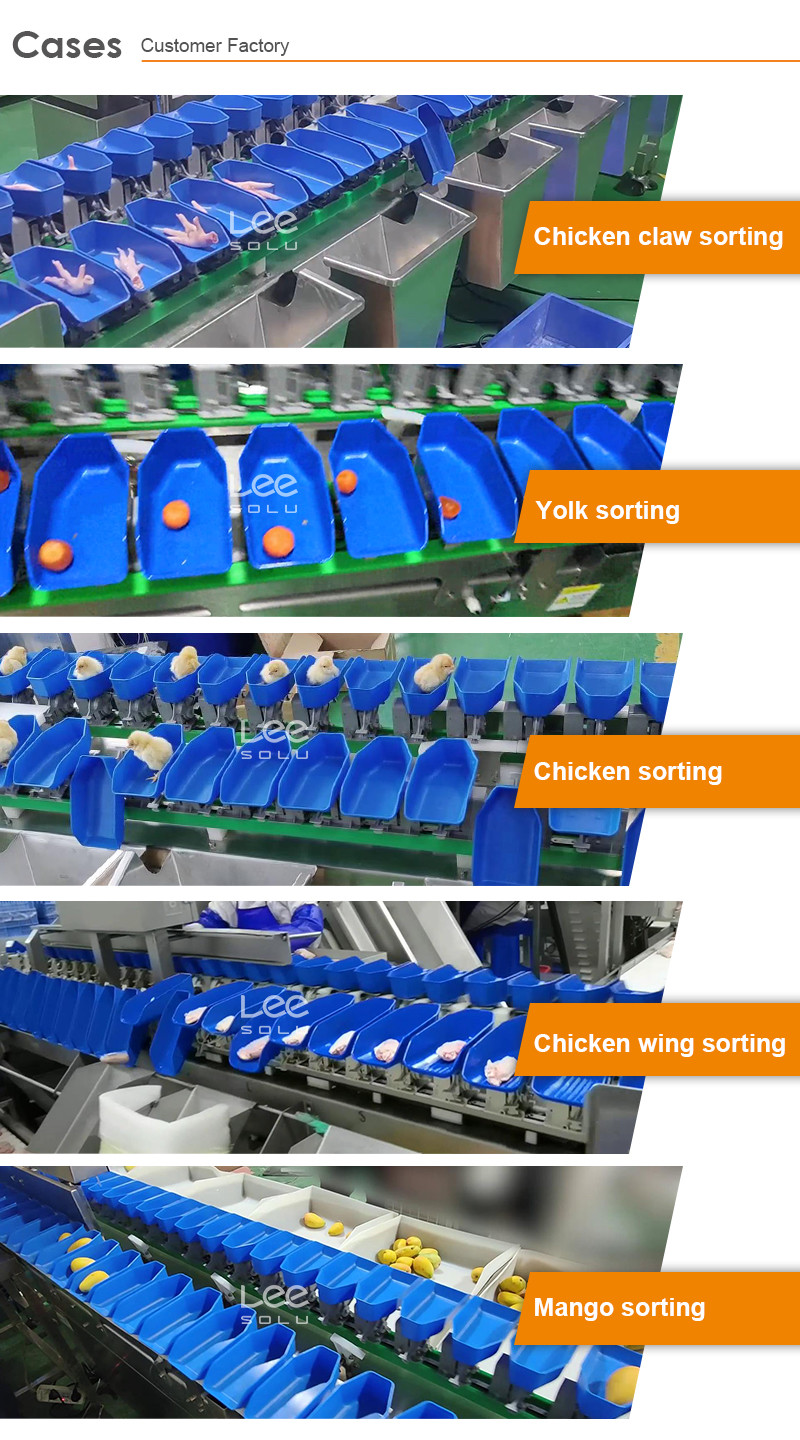Stainless Steel Tomato Garlic Onion Sorting Machine Potato Grading Size Grader Machine Vegetable Weight Sorting Maine