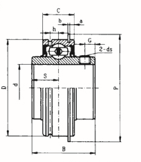 Europe America Africa Market Shandong Pillow Bearing SER206 with Static Load 11200N