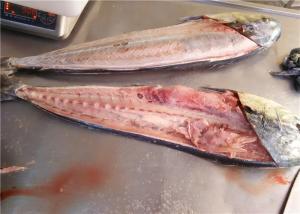 Quality BQF Pacific Ocean 1KG 2KG Whole Round Fresh Mahi Mahi wholesale