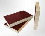 18mm used core face film faced plywoods sheet prices for Construction