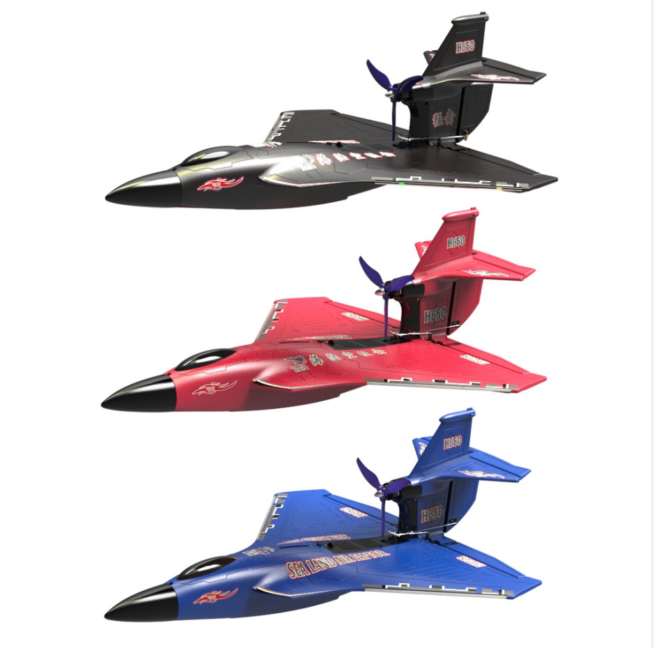 Electric Power Raptor H650 Long Range 2.4g Proportional Sea Land Air Led Aerobatics Stunt RC Glider with 6 Channels Control