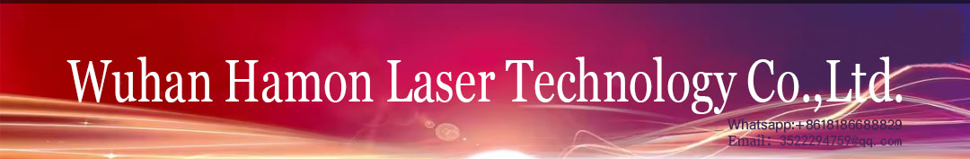 30kg Weight Advertising Industry Mini Split Fiber Laser Metal Marking Machine Pulsed Mode of Operation