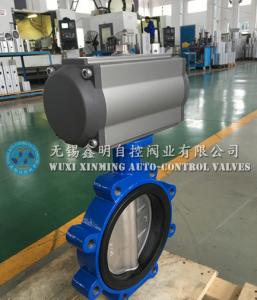 Quality Double Acting Pneumatic Valve Actuator (AT Series) wholesale
