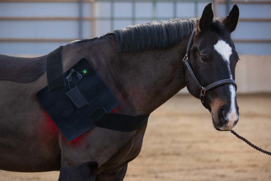 65W 120pcs LED Near Infrared Red Light Therapy Pad For Horse Back