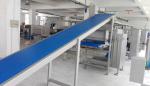 750mm Width Industrial Bread Production Line 5000 Kg /Hr With Decoration