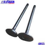 Mitsubishi 4D55 Diesel Engine Valve MD050100 MD050101