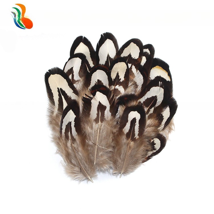 4-6cm Size Pattern Dyed Natural Pheasant Feather With Wire Accessory