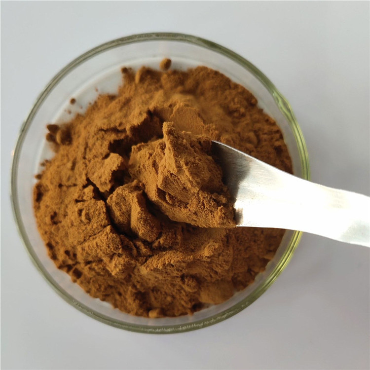 Medicine Grade Extract fructus xanthii in bulk stock