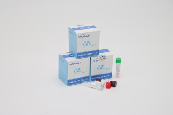 Rapid RSV Virus Instant RT PCR Test Kit POCT IVD Clinical Diagnosis High